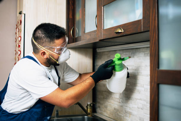 Best Insect Control  in Selden, NY